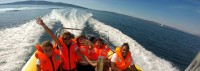/album/fotogalerie-sea-help/page-kostenloseleistungen-jpg1/